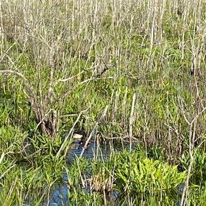 Meet your Posher, Ewa